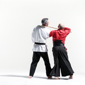 Hapkido 7 — figure reference